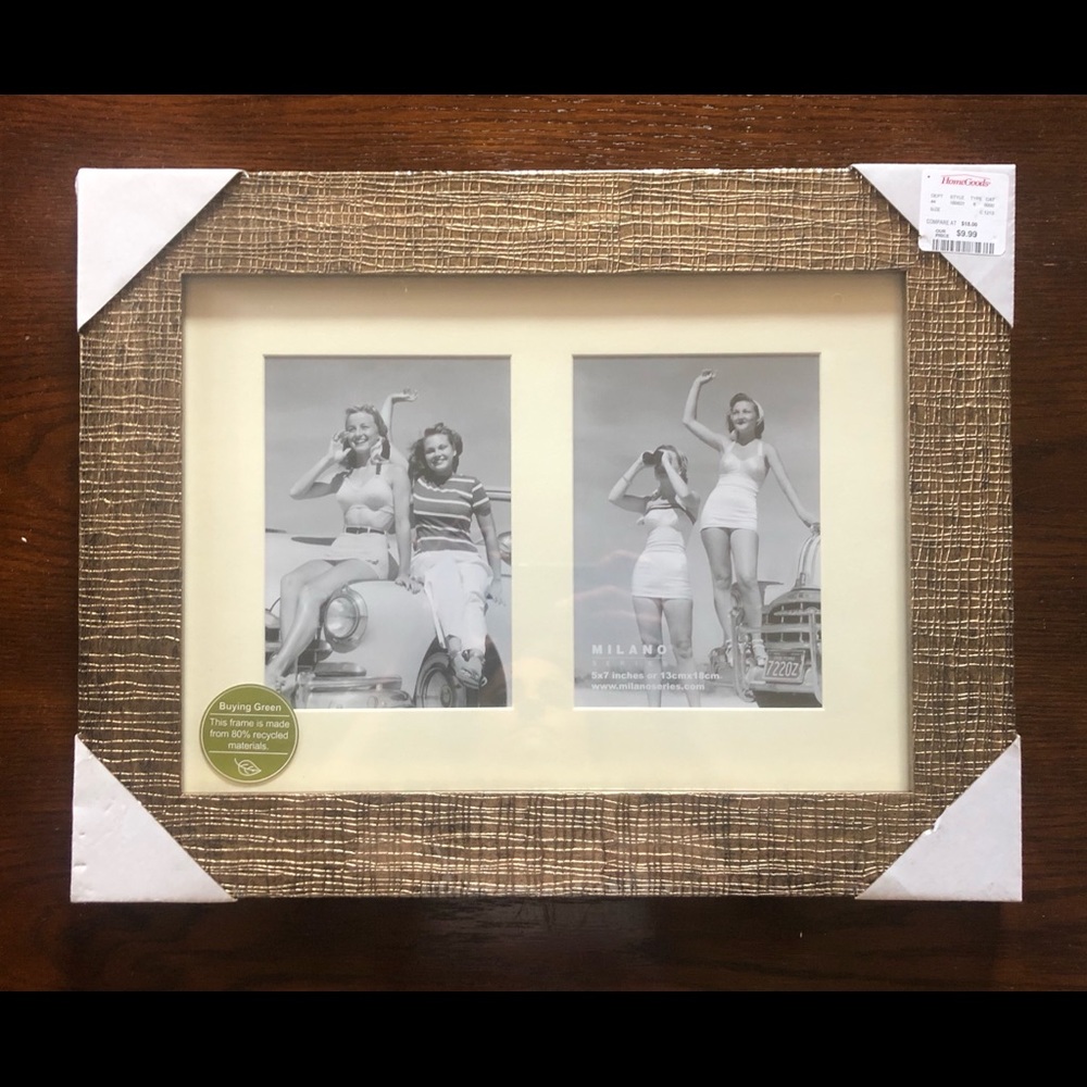 Home Goods Wall Frames - Set of 2